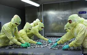 Cam kết không để gián đoạn trong quá trình tăng trưởng kinh tế