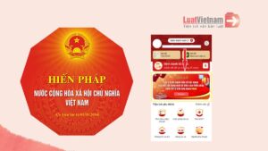 Mỗi ý kiến đều đóng góp ý kiến  vào việc xây dựng một Hiến pháp phù hợp và đầy đủ hơn cho đất nước